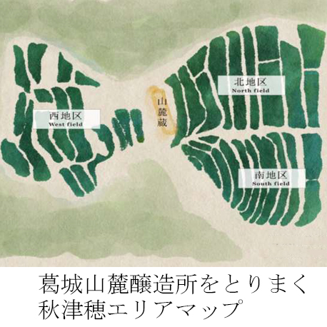2025年3月29日解禁・発売　Ｓ風の森　2024 杉浦/西地区01. 720ml（※僅少入荷のためお一人様２本限り　◎要冷蔵）