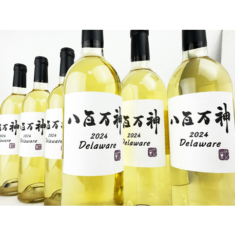 紀乃國わいん工房  八百万神（やおよろずのかみ） 2024デラゥエア750ml