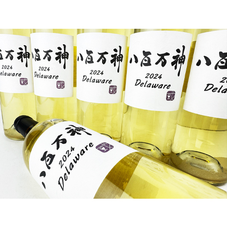 紀乃國わいん工房  八百万神（やおよろずのかみ） 2024デラゥエア750ml