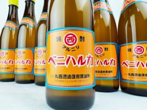 2025年7月蔵出し マルニシ　ベニハルカ　25度　バナー